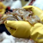 Paramount supera a Netflix y va por Warner