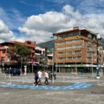 Camarón ecuatoriano acorta brecha con India en EE.UU.