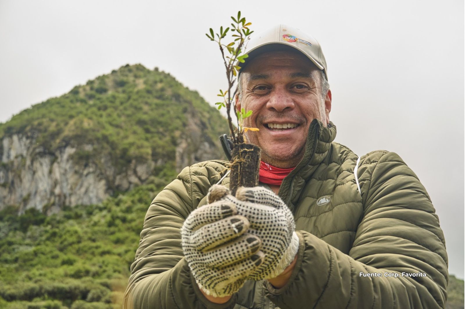 Corporación Favorita proyecta sembrar más de 275.000 árboles hasta 2028